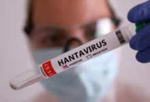 España: Confirman segundo caso de hantavirus en paciente aislado del crucero