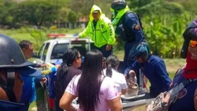 Muere agricultor en Aragua tras pasar una semana hospitalizado por ataque de abejas