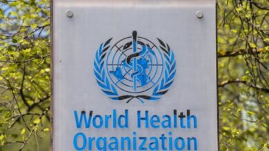 OMS advierte que el hantavirus es altamente contagioso al inicio de la enfermedad