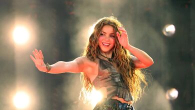 Shakira detuvo a su seguridad para proteger a un fan que subió al escenario