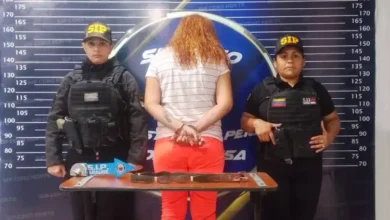 Policía de Portuguesa detiene a una mujer por presunto maltrato infantil contra su nieto de tres años