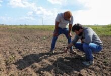 Monagas se posiciona a la vanguardia del motor agroalimentario del país