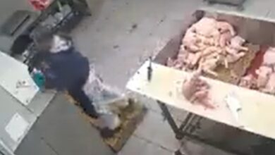 Argentina: mujer envenenó a su compañero de trabajo echándole raticida al mate (+video)