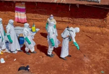 OMS reduce drásticamente casos sospechosos de ébola: de 906 a 116 tras descartar malaria y meningitis