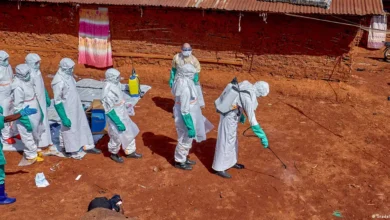 OMS reduce drásticamente casos sospechosos de ébola: de 906 a 116 tras descartar malaria y meningitis