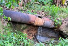 Cuatro décadas de olvido: Colapso de aguas negras desata crisis sanitaria en Brisas del Guarapiche