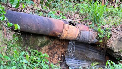 Cuatro décadas de olvido: Colapso de aguas negras desata crisis sanitaria en Brisas del Guarapiche
