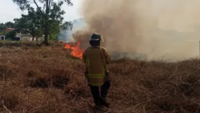 Bomberos combaten incendios forestales en cuatro municipios de Trujillo