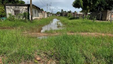 Como una selva están las calle del sector Santa Inés 1 en Maturín
