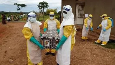 Ébola en RDC: 808 casos confirmados y 192 muertos; letalidad del 23,8%