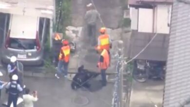 Capturan a un oso en Japón tras provocar el cierre de 94 escuelas