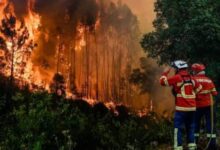 Portugal combate un gran incendio en el Algarve con 200 bomberos y ocho aviones