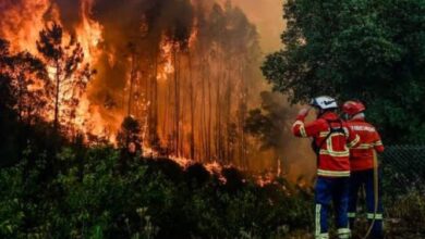 Portugal combate un gran incendio en el Algarve con 200 bomberos y ocho aviones