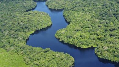 Amazonía brasileña recupera niveles hídricos tras dos años de sequía