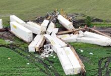 Accidente ferroviario en Illinois: vagones quedaron desperdigados tras fuertes tormentas