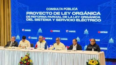 Vicepresidente Ramírez lidera acompañamiento a consulta pública de reforma de la Ley Eléctrica