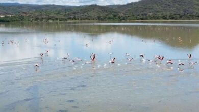 Laguna de Unare fue nominada en los World Travel Awards 2026