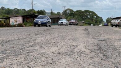 Colapso de la Troncal 10: Transportistas y particulares denuncian grave deterioro de la vía entre Punceres y Bolívar