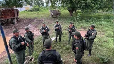 GNB recupera 20 búfalos hurtados en Zulia