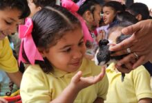 Más de cien niños de la Escuela José Agustín Méndez compartieron con animales de la granja de contacto