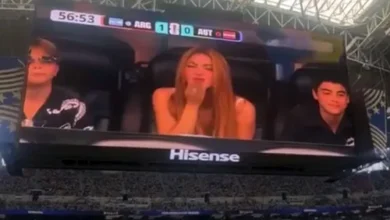 Shakira se volvió viral al ser captada en el Argentina vs Austria con sus hijos