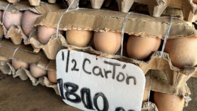 Comerciantes de Los Bloques reportan estabilidad en precios del huevo pero bajas ventas