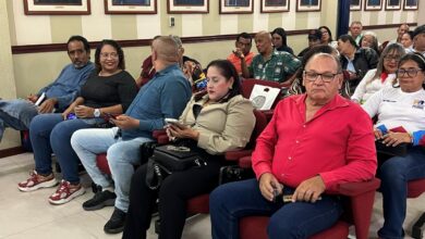 Más de 60 personas participaron en la 1era sesión ordinaria del Movimiento de Profesionales y Técnicos