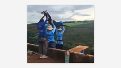 Esto dijeron los detenidos por arrojar a joven sin protección en Brasil