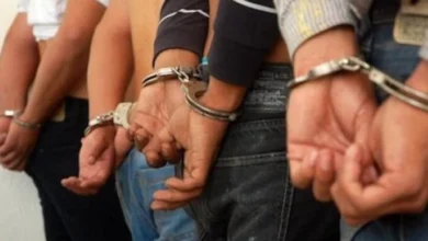 Cicpc desmantela una banda dedicada al robo y hurto de vehículos en el estado Aragua