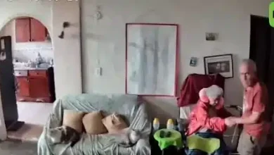 "Amor, no te vayas": el ruego de una abuela durante el terremoto (VIDEO)