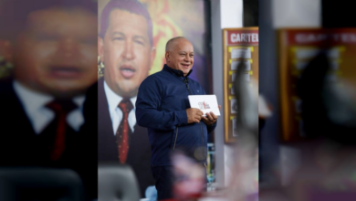 Cabello destacó que encuentros en India buscan "el beneficio de la patria"