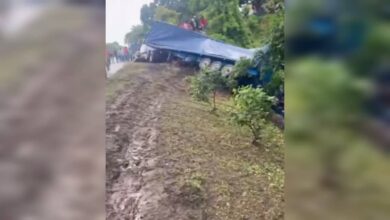 Gandola cargada de licores se volcó en Cojedes y vecinos descargaron la mercancía