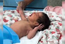 Bebé de 8 meses y su madre fueron rescatados con vida entre los escombros (+Video)