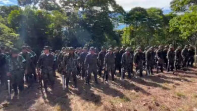 Colombia: 99 guerrilleros entregan sus fusiles en Putumayo