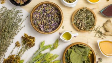 ¿Cómo limpiar los riñones de forma natural? 3 Plantas medicinales efectivas