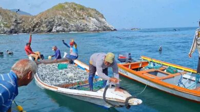 Pescadores de Nueva Esparta donan 7 toneladas de pescado a damnificados