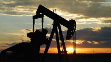 La OPEP+ evalúa su estrategia de producción