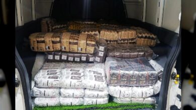 Productores cafetaleros de Mérida envían 700 kilos de café a damnificados