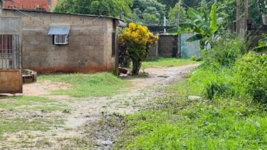 Falta de drenajes e inundaciones azotan a 37 familias del sector Francisco de Miranda en La Cruz