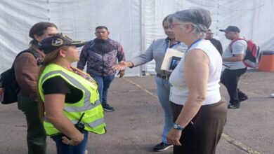 Atienden y vacunan a más de 600 mascotas rescatadas del doble sismo