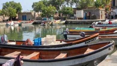 Autoridades despliegan plan de atención para pescadores afectados