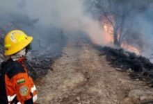 Bolivia declara situación de desastre en San Lorenzo por incendios forestales