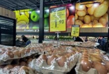 Reportan disminución en los precios del cartón de huevos