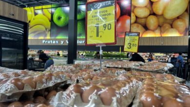 Reportan disminución en los precios del cartón de huevos
