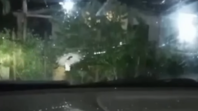 Familia es víctima de intento de asalto en Carúpano; mujer resulta herida de bala