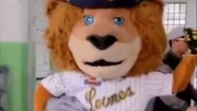 Leones del Caracas donó insumos a los afectados por los sismos