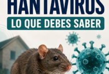 Hantavirus: qué es y cómo se transmite