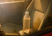 Los peligros de beber agua dejada en el auto: Expertos advierten sobre bacterias y sustancias del plástico