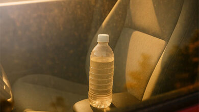 Los peligros de beber agua dejada en el auto: Expertos advierten sobre bacterias y sustancias del plástico