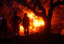 España logra estabilizar los incendios forestales luego de perder 70 mil hectáreas